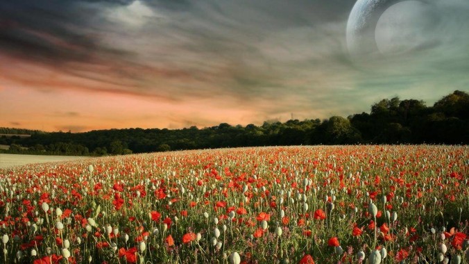 发生了什么导致你从此再不吃某样食物？